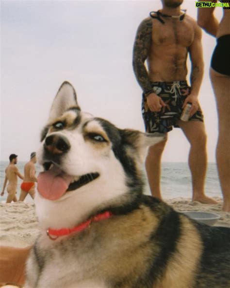 gus kenworthy net worth 2024