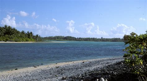 Survivor: Nikumaroro Island | Center for International Maritime Security