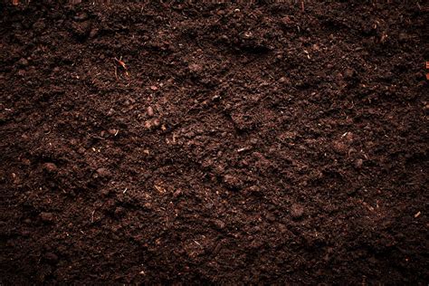 Harris County Urban And Homeowner Soil Testing Information