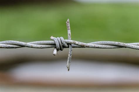 barbed thread fencing  photo  pixabay pixabay