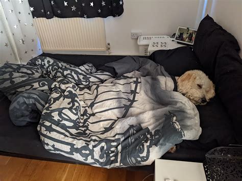 Poor baby has an upper respiratory infection : r/labradoodles
