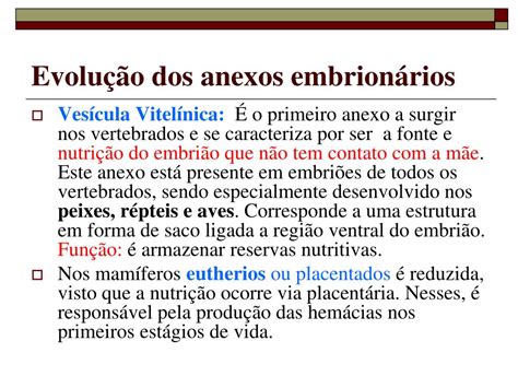 PPT - Anexos Embrionários PowerPoint Presentation, free download - ID ...