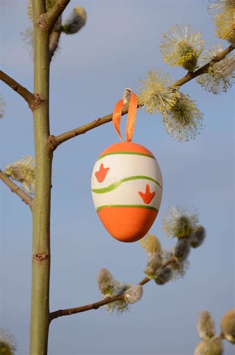 Easter Egg Hanging On Pussy Willow Branch Stock Photo Image Of