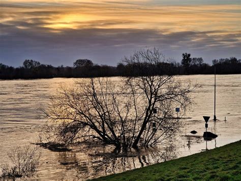 Neuss: Rhein bei Hochwasser im Dezember 2023 - Fotos