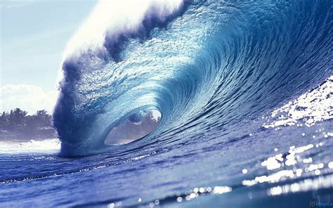 Surfing Waves Wallpaper