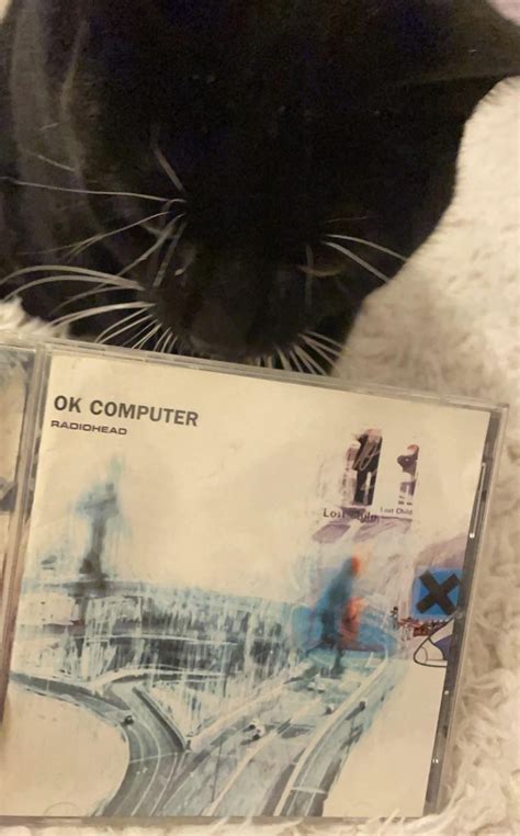 My Cat Loves Radiohead Rradiohead