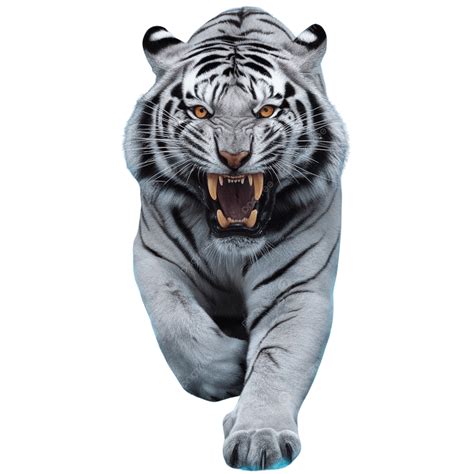 The White Tiger Notes 2