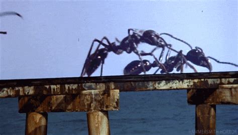 Rhett Hammersmiths International Haus Of Horrors — Empire Of The Ants 1977