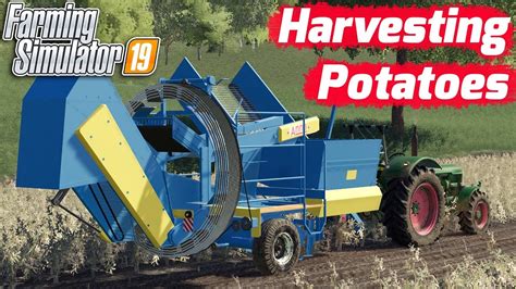 Farming Simulator 19 Harvesting Potatoes YouTube