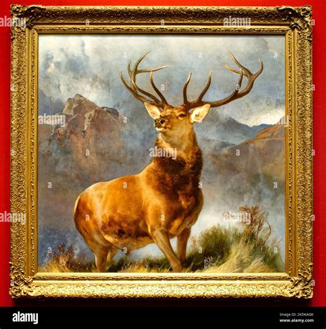 The Monarch of the Glen painting by Sir Edwin Landseer Stock Photo - Alamy