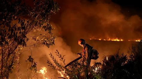 Los Incendios En El Pantanal De Brasil Se Disparan En Medio De La Ola