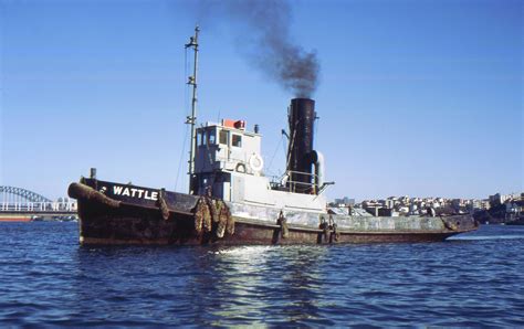 Ran Steam Tug Wattle