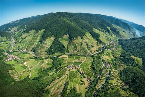 Zweigelt Rosé Federspiel Classic Domäne Wachau