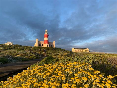 Lomond Wine Estate Cape Agulhas Curry Wines