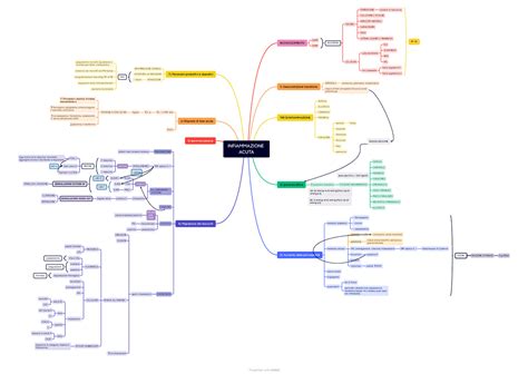 Mappe Infiammazione E Eziologia Generale Patologia Generale