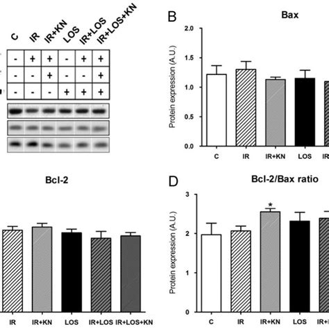 Expression Of Bcl 2 And Bax A Representative Western Blots B Bcl 2