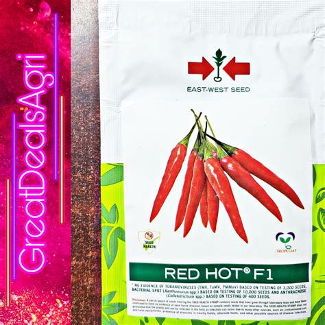 Red Hot F Hybrid Hot Pepper Seeds Asenso Pack Seeds East West