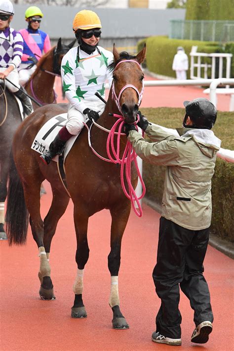 テンカオーライ逃げ切りv 向正面でハナに立ち半馬身差粘る／新馬戦 2歳馬特集 競馬写真ニュース 日刊スポーツ