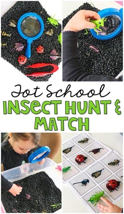 30 Fun Bug Games And Activities For Your Little Wigglers Teaching Expertise