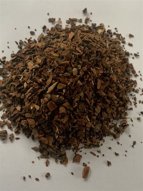 Sassafras Root Bark - Fresh, Wild Foraged - Vacuum Sealed - Foraged