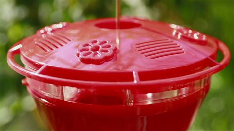 Humm Yumm 2 In 1 Protein And Nectar Hummingbird Feeder On Qvc Youtube