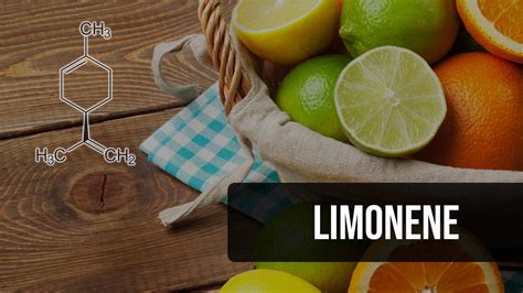 The Complete Guide To The Limonene Terpene Claybourne Co Cannabis