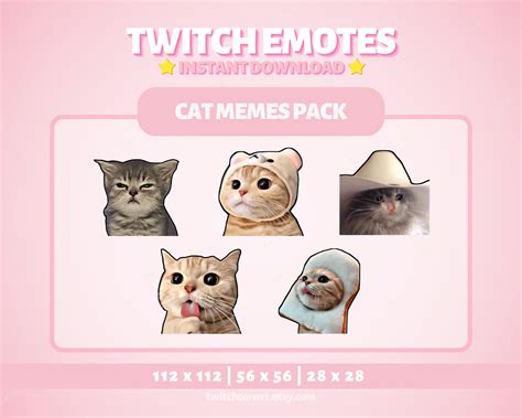 Twitch Emotes Funny Cats, Cat Memes, Kawaii Cat Memes, Twich Discord ...