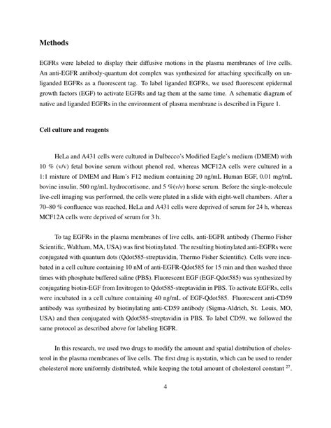 Nature Scientific Reports Template