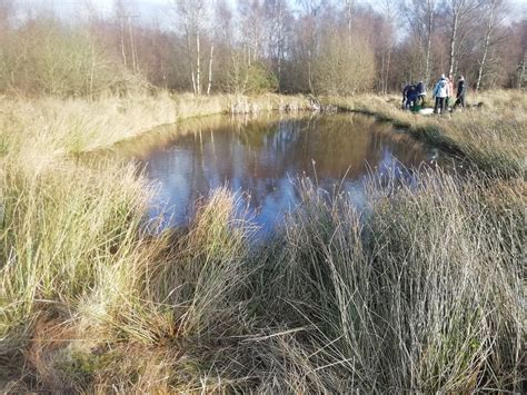 Fife Amphibian & Reptile... - Fife Amphibian & Reptile Group