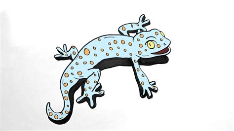 How To Draw Gecko Step By Step Youtube