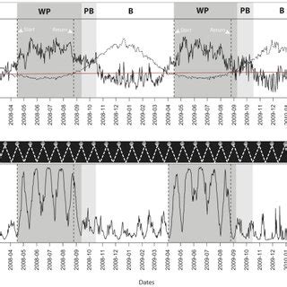 Abbreviations Report To Barau S Petrel Cycle Of Life B Breeding