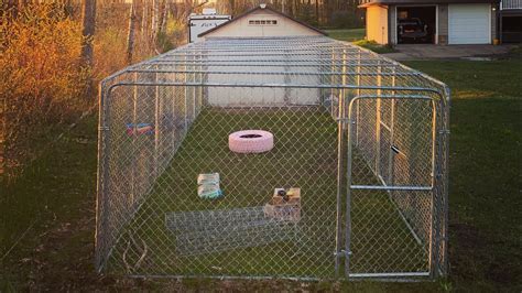 Building Our Predator Proof Chicken Run Part The Roof Youtube