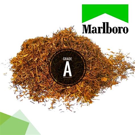 Jual Produk Rokok Marlboro Mentol Grade A Termurah Dan Terlengkap Mei