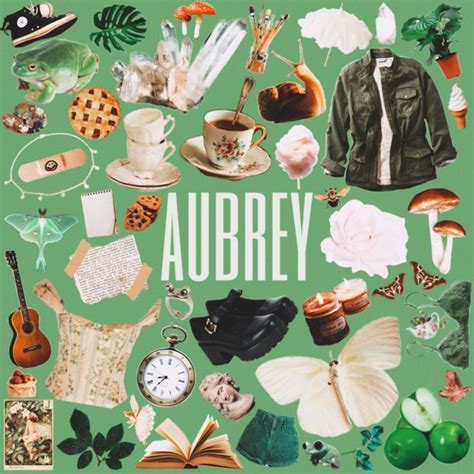 There Is A Poster With Many Things On It That Say Aubrey In White Letters