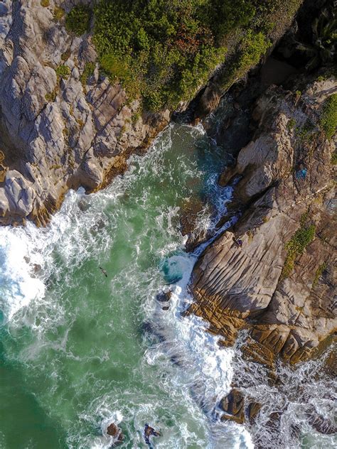coast  bird drone photography
