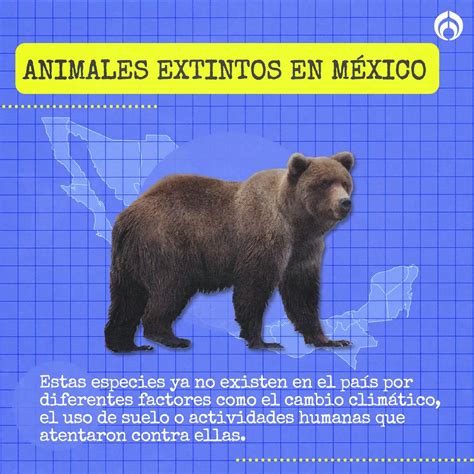 O Que Significa Extintos - 9