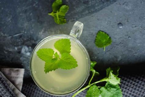 How to make lemon balm tea - SimplyBeyondHerbs