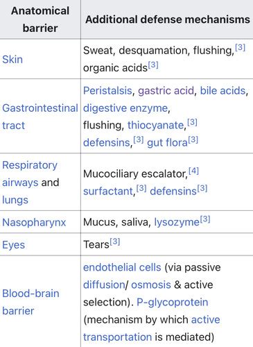 Innate And Adaptive Immune Responses Flashcards Quizlet