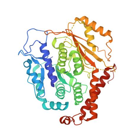 Rcsb Pdb Qj Structure Of The Recombinant Human Gamma Tubulin Ring