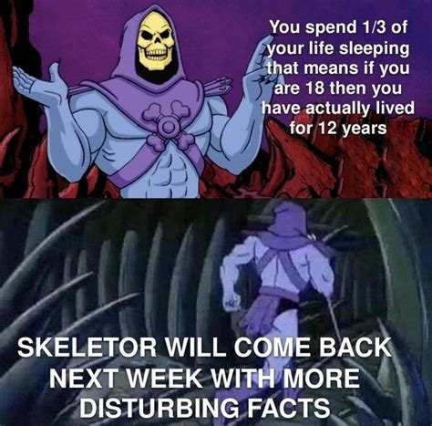 Pin By Eric Chatman On Skeletor Memes Really Funny Memes Some Funny