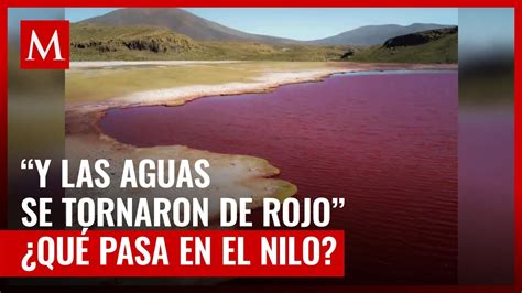 Río Nilo se pinta de rojo sangre y causa temor en redes por pasaje