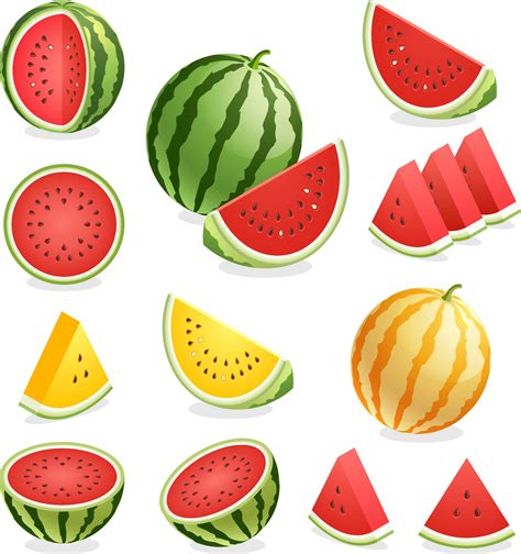 Watermelon. Vector illustration. 2094067 Vector Art at Vecteezy