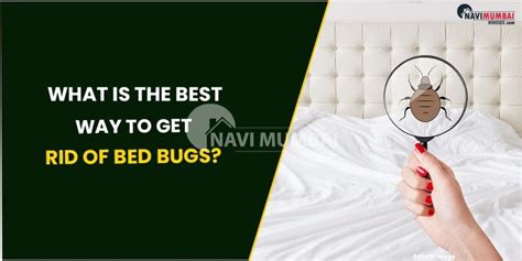 What Is The Best Way To Get Rid Of Bed Bugs