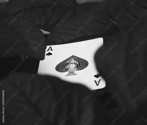 ace  spades stock photo adobe stock