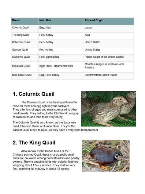 Breed of Quail | PDF | Birds | Zoology