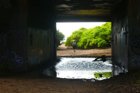 Fort Funston Upper Trails