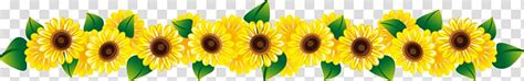 Free Download Sunflower Illustration Common Sunflower Sunflower