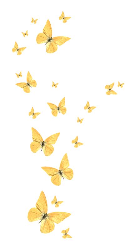 Butterfly - Golden butterfly png download - 422*800 - Free Transparent ...