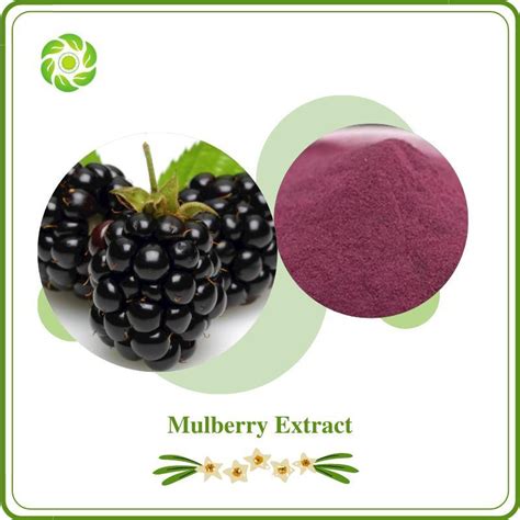 World Well Being Biotech Natural Mulberry Extract With