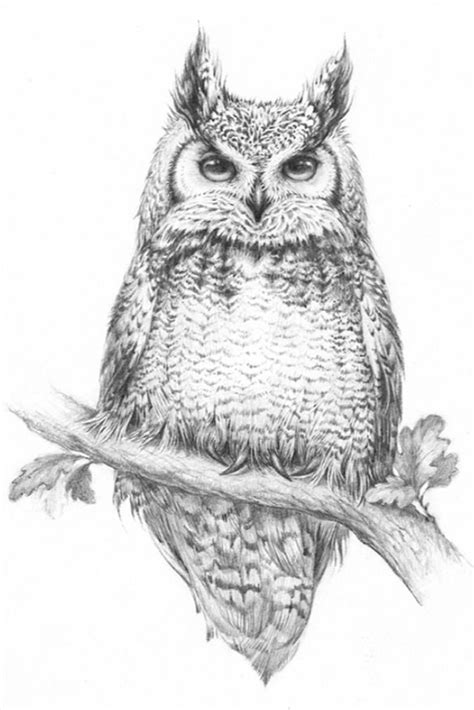 Great Horned Owl Art Owls Drawing Bird Drawings Owl Artwork